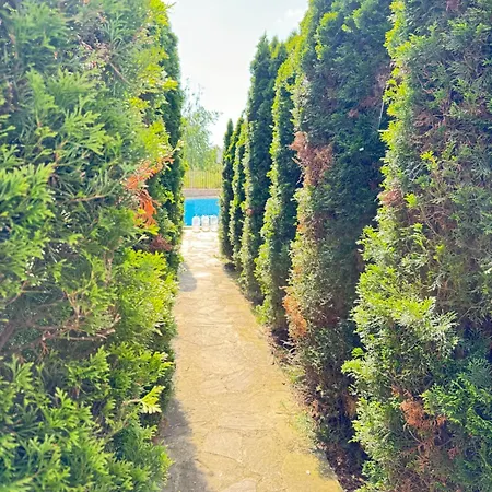 Apartament Mayana Appartament *