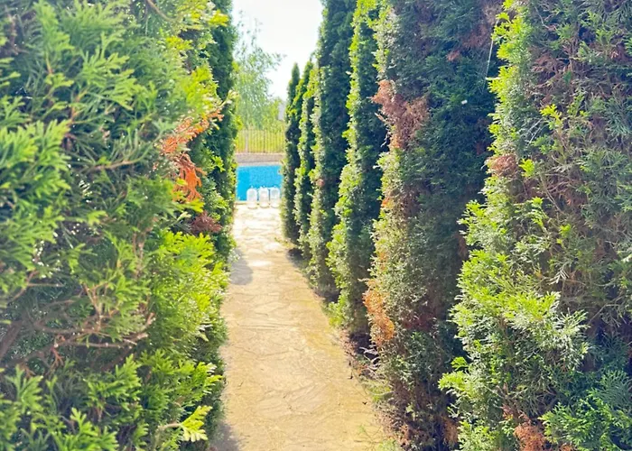 Апартаменти Mayana Appartament *